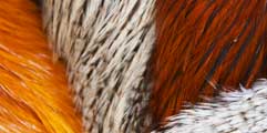 dry fly hackle