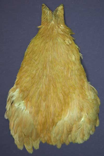 Indian Cock Neck
