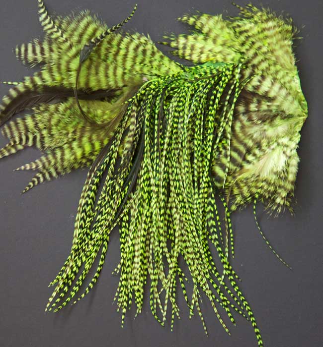 Whiting Dry Fly Saddle