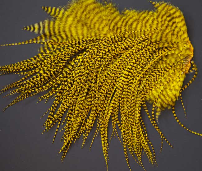 Whiting Dry Fly Saddle