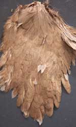 Premium Ewing Genetic Rooster Hackle Capes 1st Grade