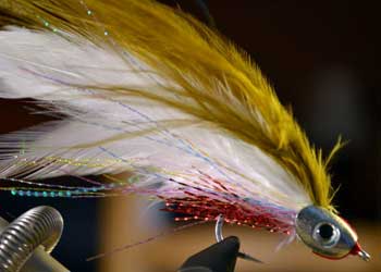 SALTWATER LURES ORANGE feather Fish Flies and two cases $40.00