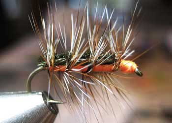 Feathers for tying warmwater flies | Fly Fishing Feathers | Feathers ...