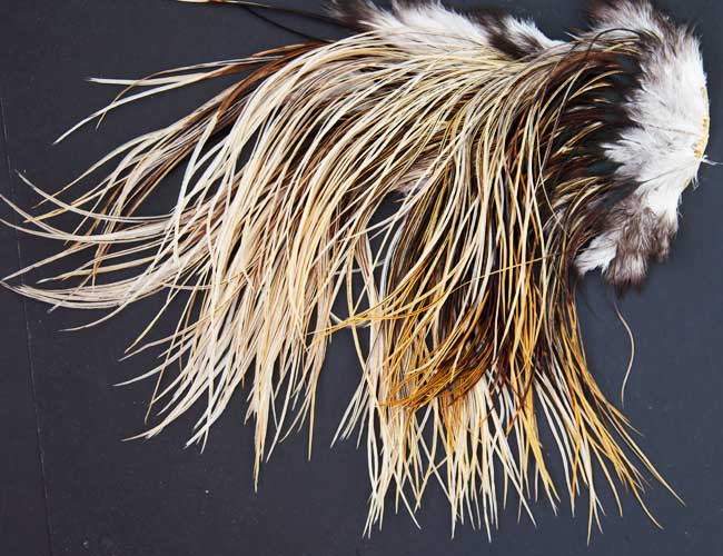 Barred Brown Variant Rooster Saddle Hackle Long Thin Dry Fly Tying Feathers  #2 - Lero