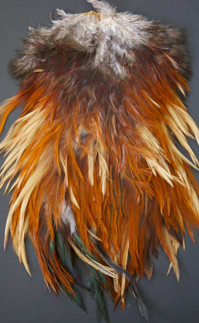 Indian Cock Neck