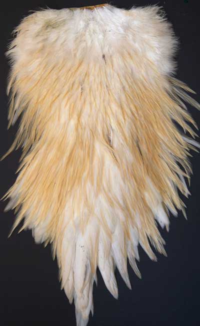Indian Cock Neck