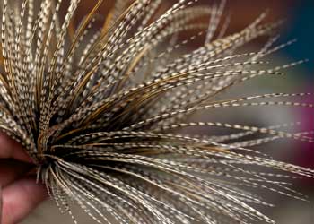 Fly Tying Feathers, Whiting Hackle, Feathers for Fly Tying