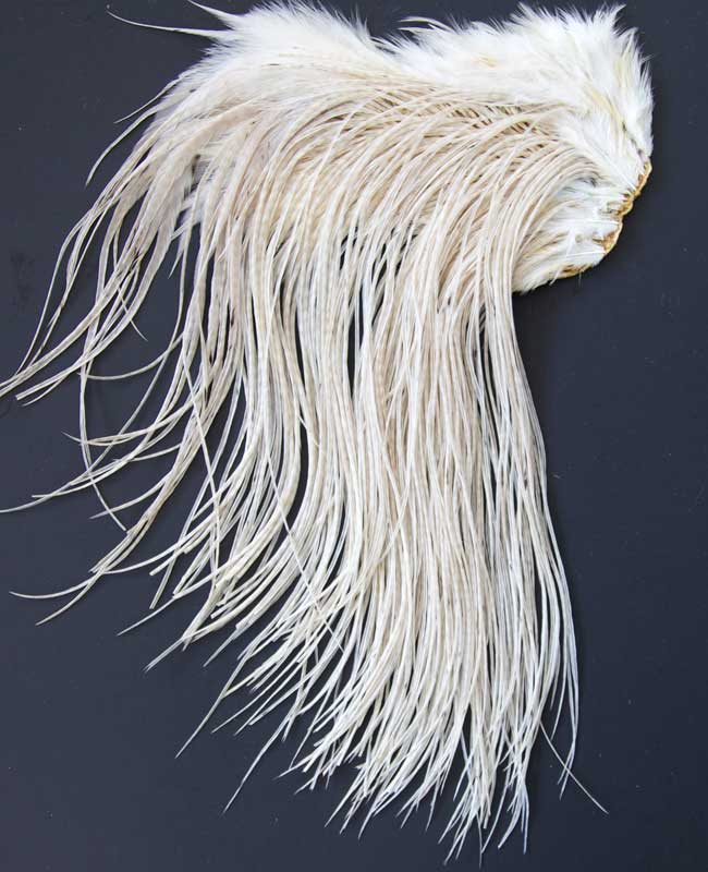 Indian Cock Neck