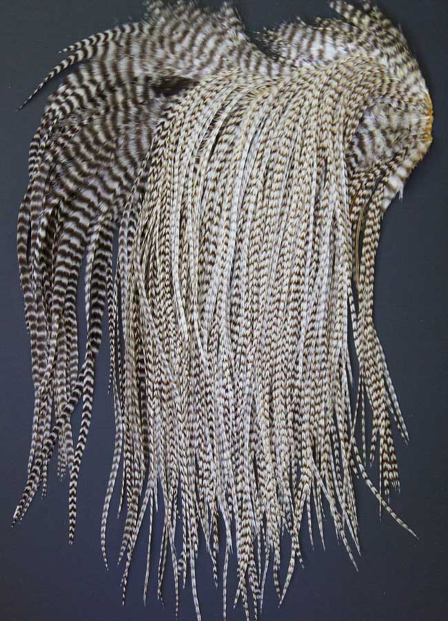 Indian Cock Neck