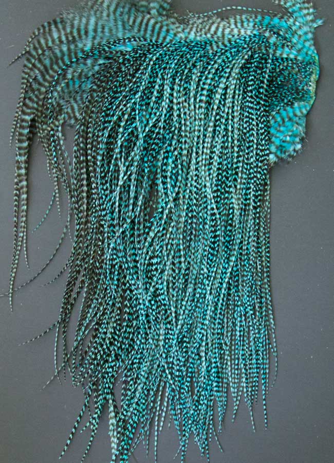 Indian Cock Neck