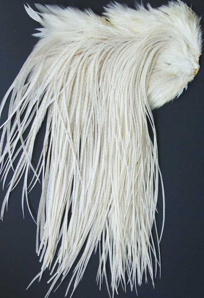 Indian Cock Neck