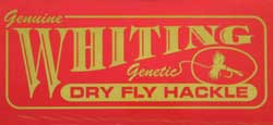 Whiting 100 Packs Saddle Hackle - Size 18 – Togens Fly Shop