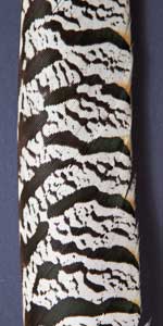 am gold pheasant